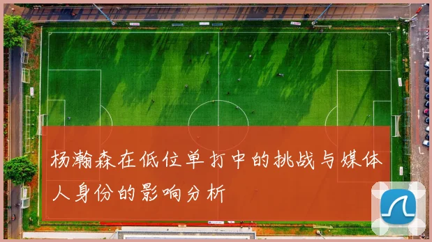 杨瀚森在低位单打中的挑战与媒体人身份的影响分析